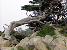 Enlarge photo 378