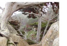 Enlarge photo 379