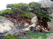 Enlarge photo 380