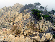 Enlarge photo 381