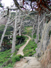 Enlarge photo 382