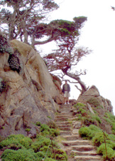 Enlarge photo 384