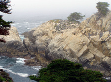 Enlarge photo 385