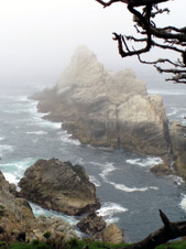 Enlarge photo 386