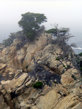 Enlarge photo 387