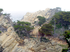 Enlarge photo 389