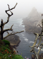 Enlarge photo 390