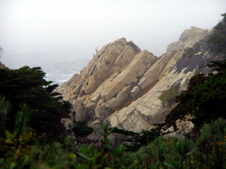 Enlarge photo 391
