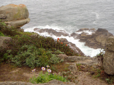 Enlarge photo 393