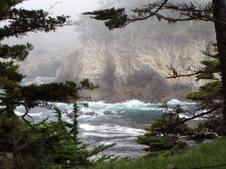 Enlarge photo 394