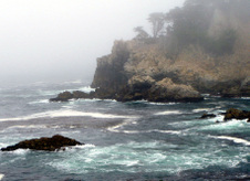 Enlarge photo 395