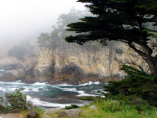 Enlarge photo 398