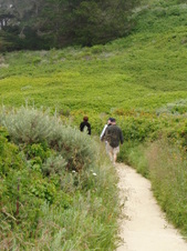 Enlarge photo 401