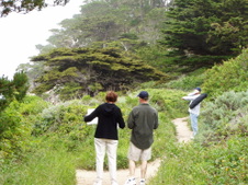 Enlarge photo 402