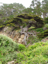 Enlarge photo 403