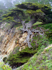 Enlarge photo 404