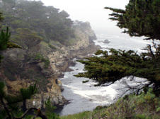 Enlarge photo 405