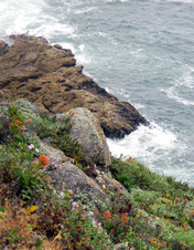 Enlarge photo 412