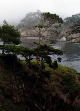 Enlarge photo 413