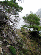 Enlarge photo 414