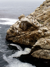 Enlarge photo 415