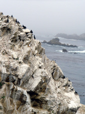 Enlarge photo 416