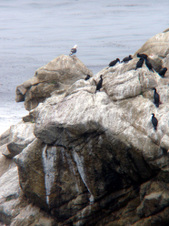 Enlarge photo 418