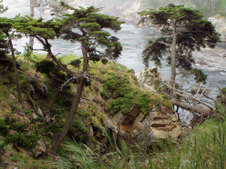 Enlarge photo 419