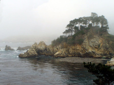 Enlarge photo 420