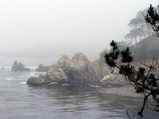Enlarge photo 421