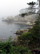 Enlarge photo 423