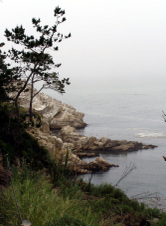 Enlarge photo 424