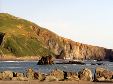 Enlarge photo 277