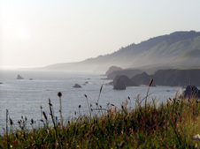 Enlarge photo 278