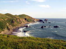 Enlarge photo 279
