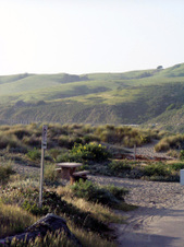 Enlarge photo 280