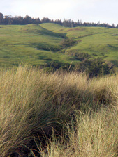 Enlarge photo 282