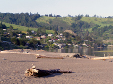 Enlarge photo 283