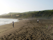 Enlarge photo 285