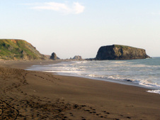 Enlarge photo 286