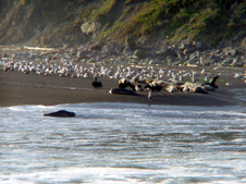 Enlarge photo 288