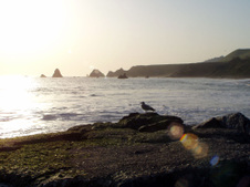 Enlarge photo 291