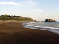 Enlarge photo 297