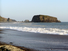 Enlarge photo 298