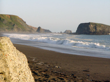 Enlarge photo 299