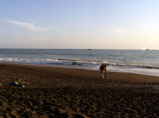 Enlarge photo 301