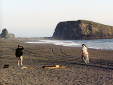 Enlarge photo 304