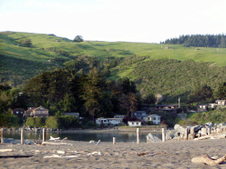 Enlarge photo 305