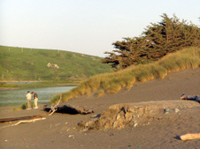 Enlarge photo 307
