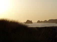 Enlarge photo 308